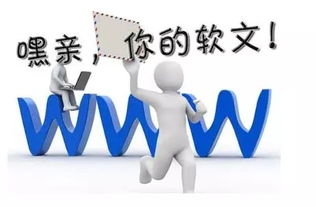 教育行业的新闻营销 塑造品牌与精准受众渗透的策略