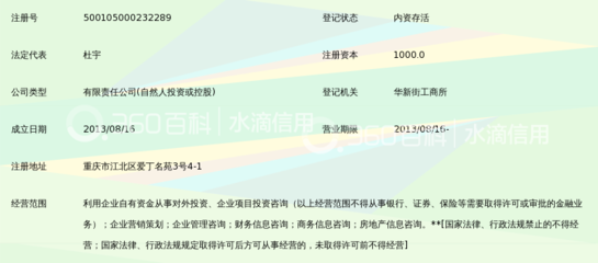 重庆泽源投资 以自有资金撬动对外投资新路径